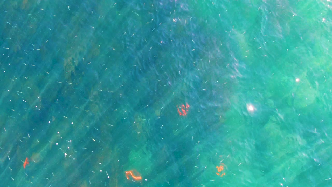 Blue-green shallow water over darker seabed patches.