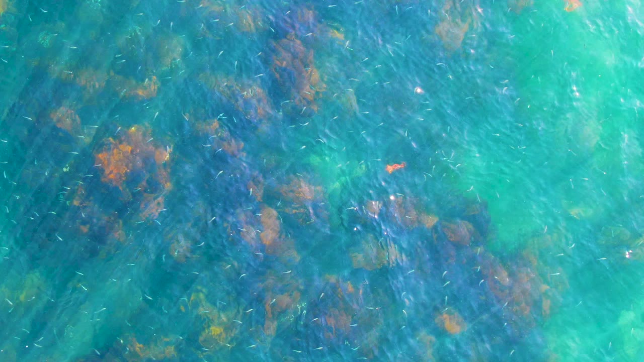 Clear blue-green water with coral patches and fish specks