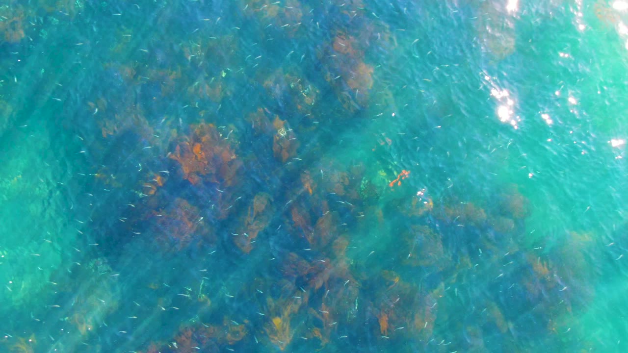 Bright turquoise water fills the La Bocana frame with darker submerged reef formations and small fish marks, while no people, boats, or shoreline are visible.