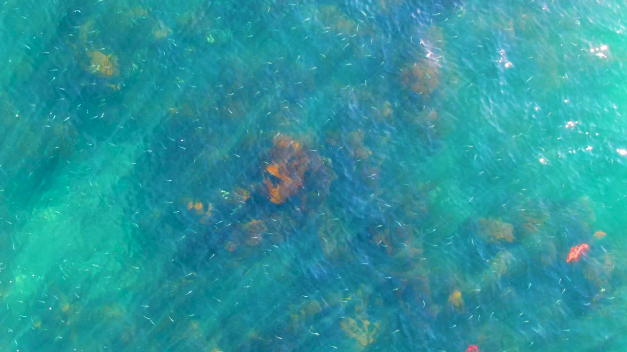 Clear blue-green water with rocks below the surface.