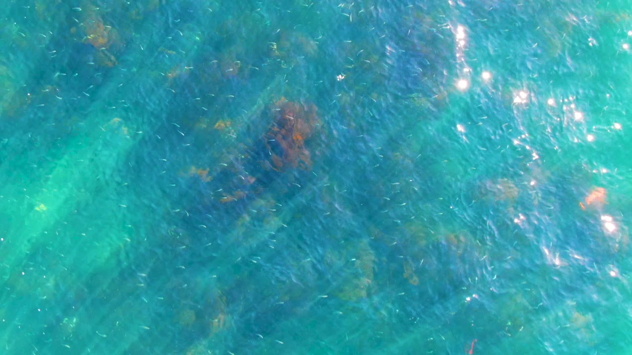 Overhead La Bocana water shows a small red-orange fish-like shape near the center, muted rocks below, rippled turquoise surface, and no visible people.