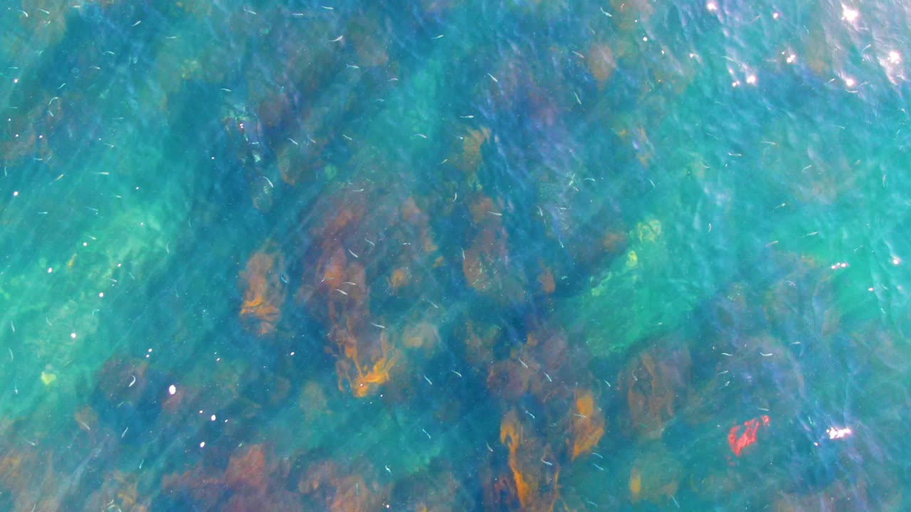 Sunlit shallow water in La Bocana, Baja California Sur fills the frame with scattered underwater rocks and small bright reflections, with no visible people.