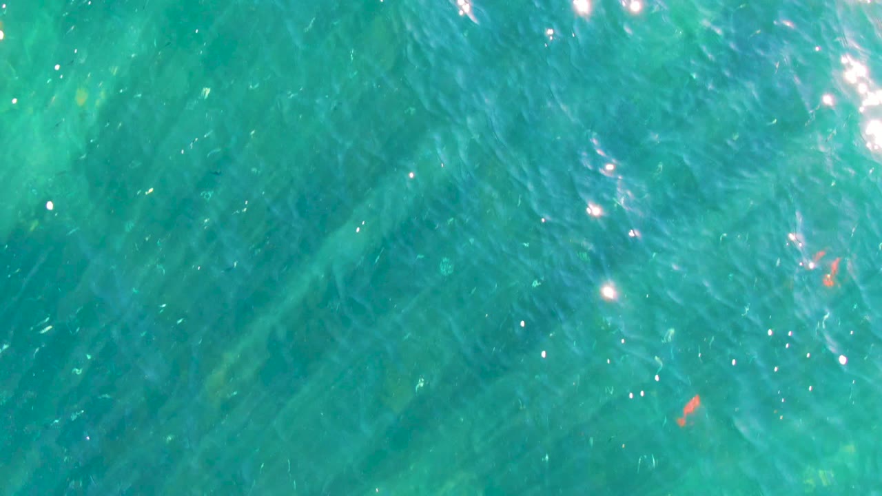 Clear blue-green water with ripples and small reddish fish-like shape.
