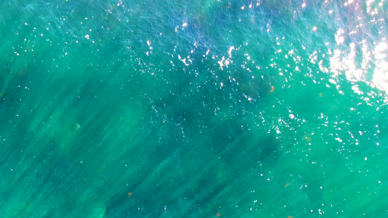 Blue-green ocean surface with ripples, sparkles, and submerged streaks.