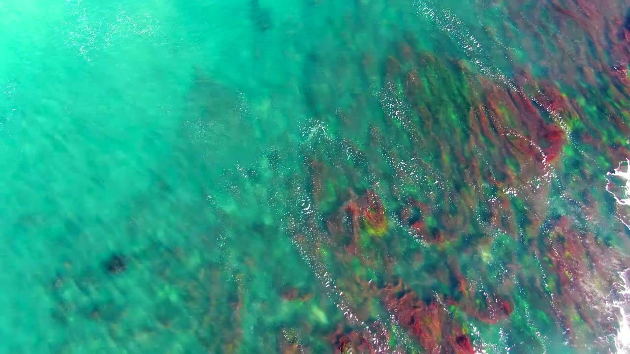 Overhead view of turquoise shallow water in La Bocana, Baja California Sur, with dark submerged rocks and red-green seabed patches visible below, no visible people.