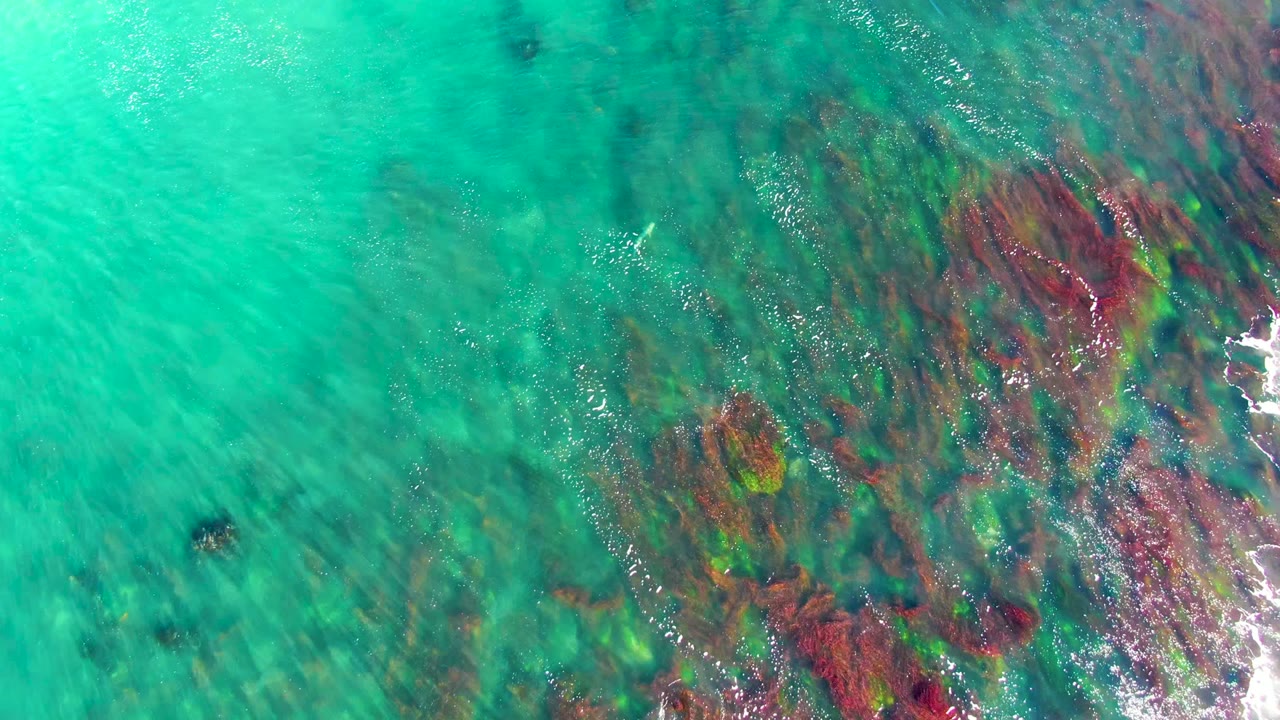 Overhead La Bocana water view with broad turquoise areas, darker underwater rock forms, small ripple lines, and a narrow trace of foam near the right edge, no visible people.