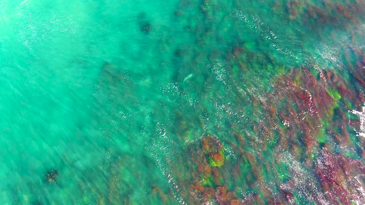 Turquoise water over a mottled rocky seabed in La Bocana, with darker rock clusters toward the right and small white wave foam at the far edge, no visible people.