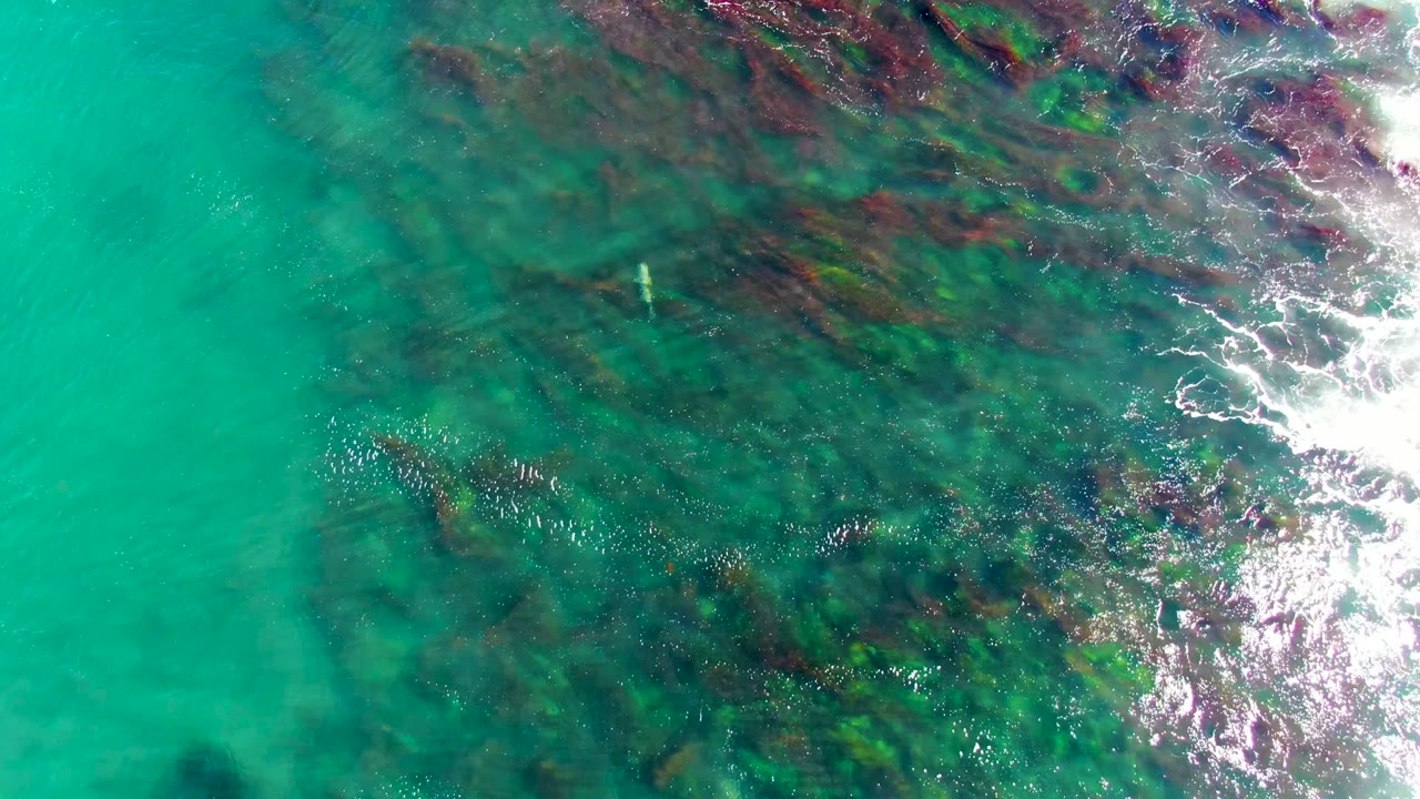 Top-down view of turquoise water over dark submerged rocks and reddish reef-like patches in La Bocana, Baja California Sur, with no visible people.