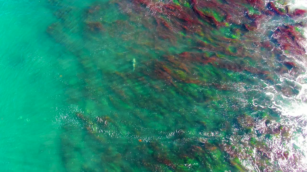 Clear green-blue water crossing dark rocky seabed