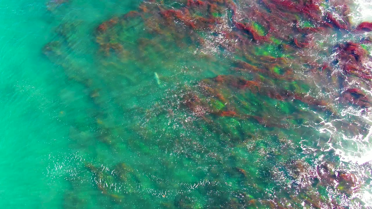 Sunlit turquoise shallows pass over darker rock patches and small white water at the frame edge in La Bocana, Baja California Sur, with no visible people.