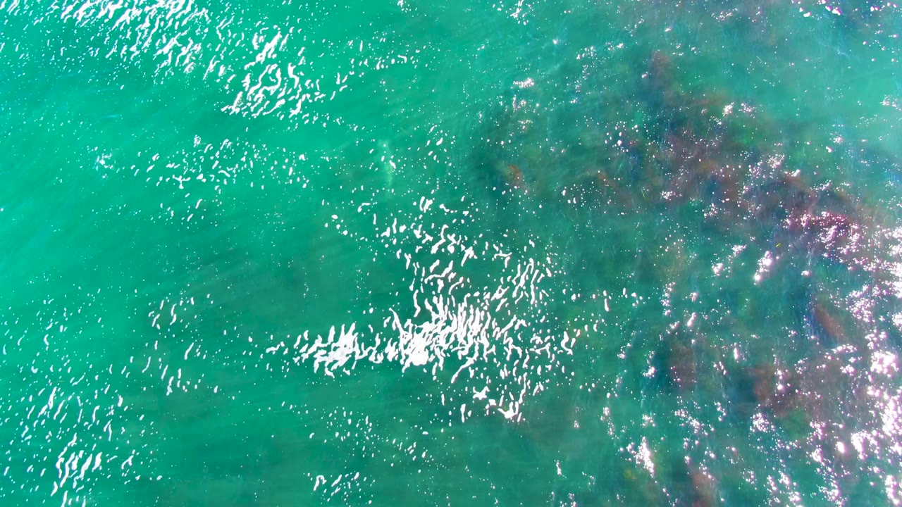 Overhead view of turquoise ocean water in La Bocana, Baja California Sur, with bright ripples, dark submerged rock or coral patches, and no visible people.