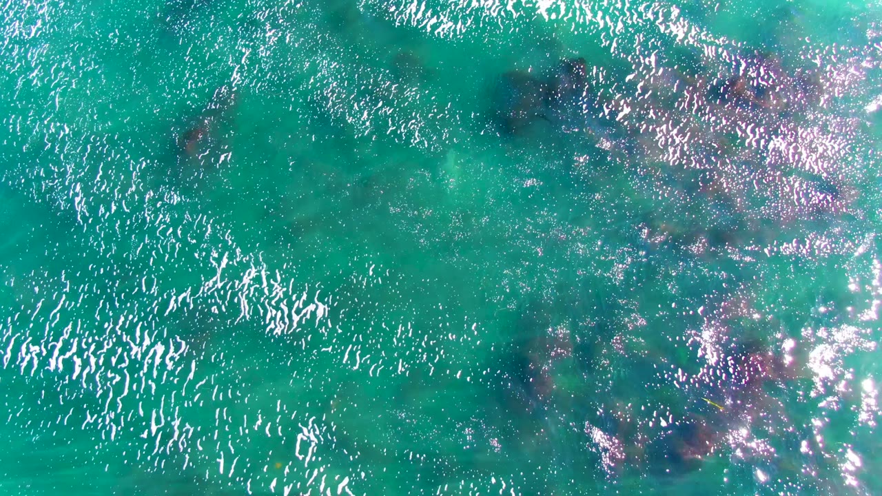 Overhead view of turquoise water in La Bocana, Baja California Sur, with bright ripples and dark submerged rocks near the upper frame, no visible people.