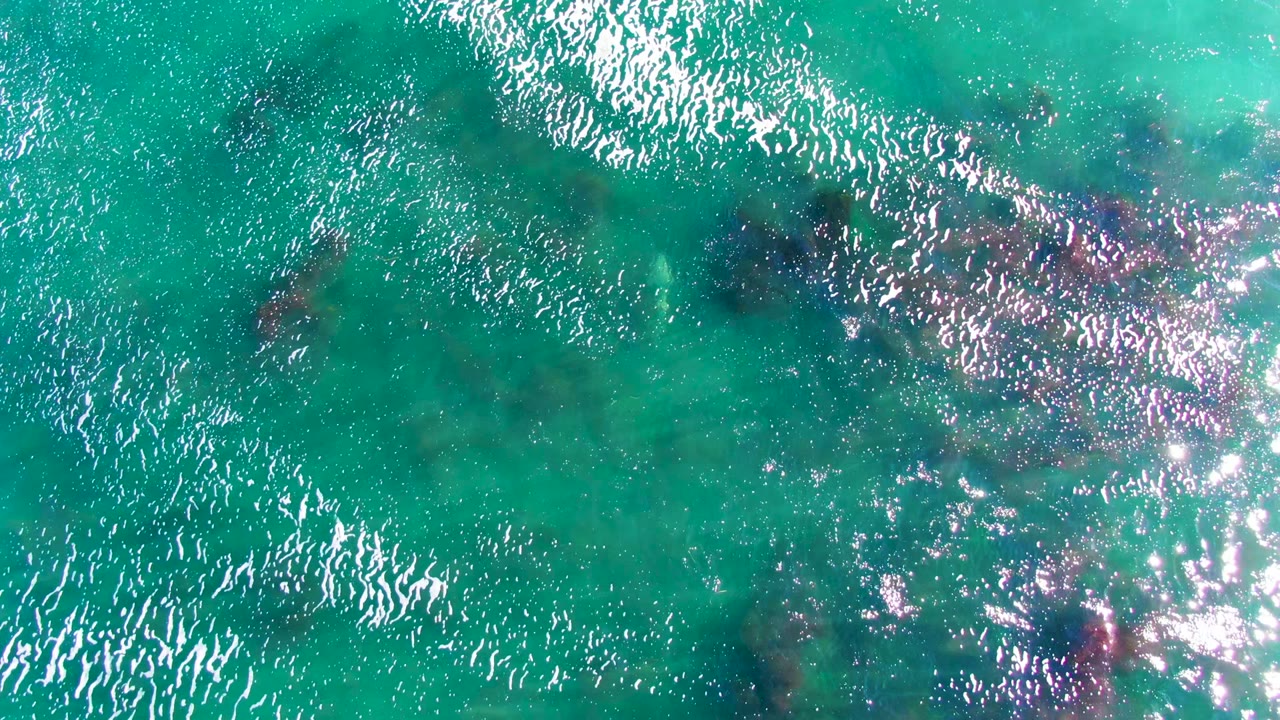 Clear turquoise water with bright shimmer and submerged rock patches.