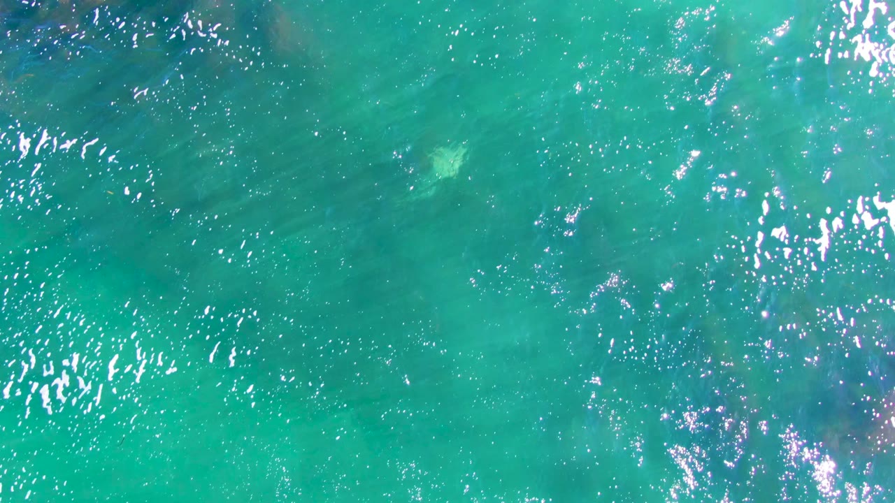 Overhead view of turquoise ocean water in La Bocana, Baja California Sur, with bright surface reflections, dark submerged forms, and no visible people.