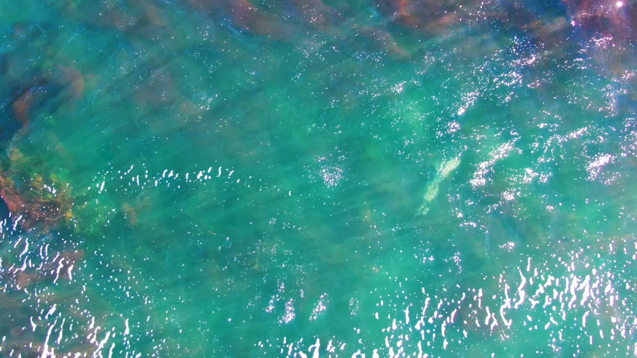 Top-down view of turquoise shallow water in La Bocana, Baja California Sur, with sun glints, submerged rocks, faint seaweed, and no visible people.