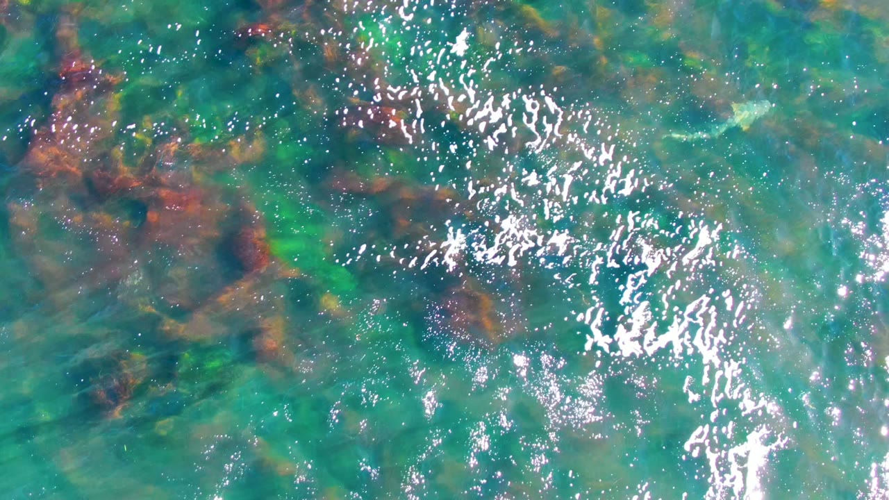 Top-down view of turquoise shallow water in La Bocana, Mexico, with green and brown seaweed under ripples, bright sun glints near the left side, and no visible people.