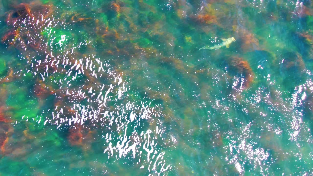 Turquoise shallow water in La Bocana, Mexico, fills the frame with darker brown seaweed patches, green underwater growth, clustered white light glints toward the right, and no visible people.