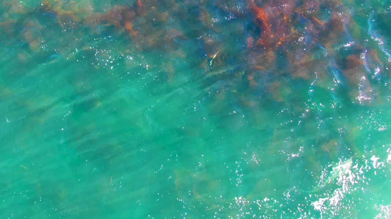 Overhead view of clear turquoise water in La Bocana, Baja California Sur, with dark rocky seabed patches near the top of frame and no visible people.