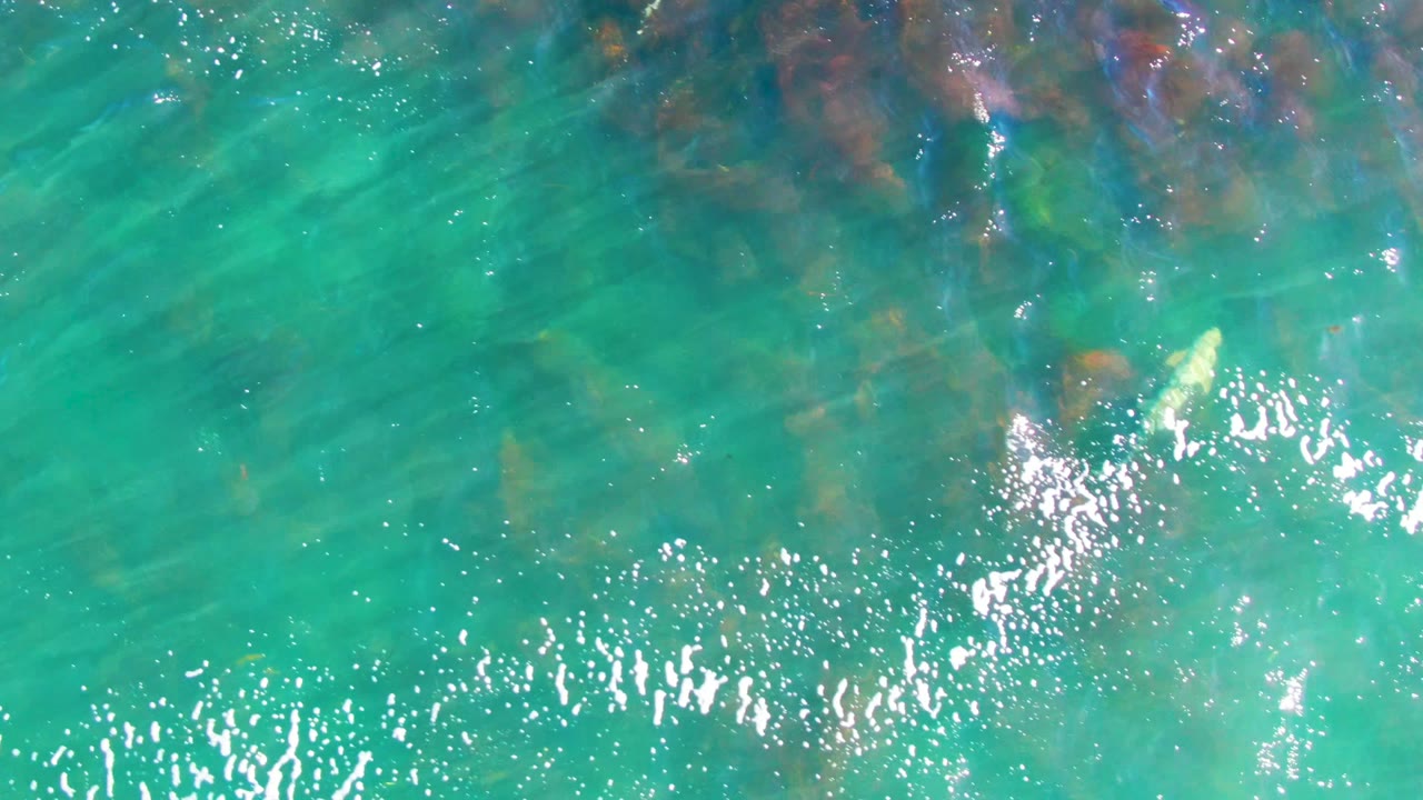 Clear teal water with small ripples and sunlight glinting across the surface.