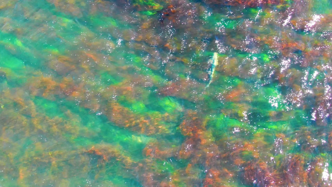 Turquoise shallow water in La Bocana shows mottled green and brown underwater vegetation, scattered glare on ripples, and no visible people.