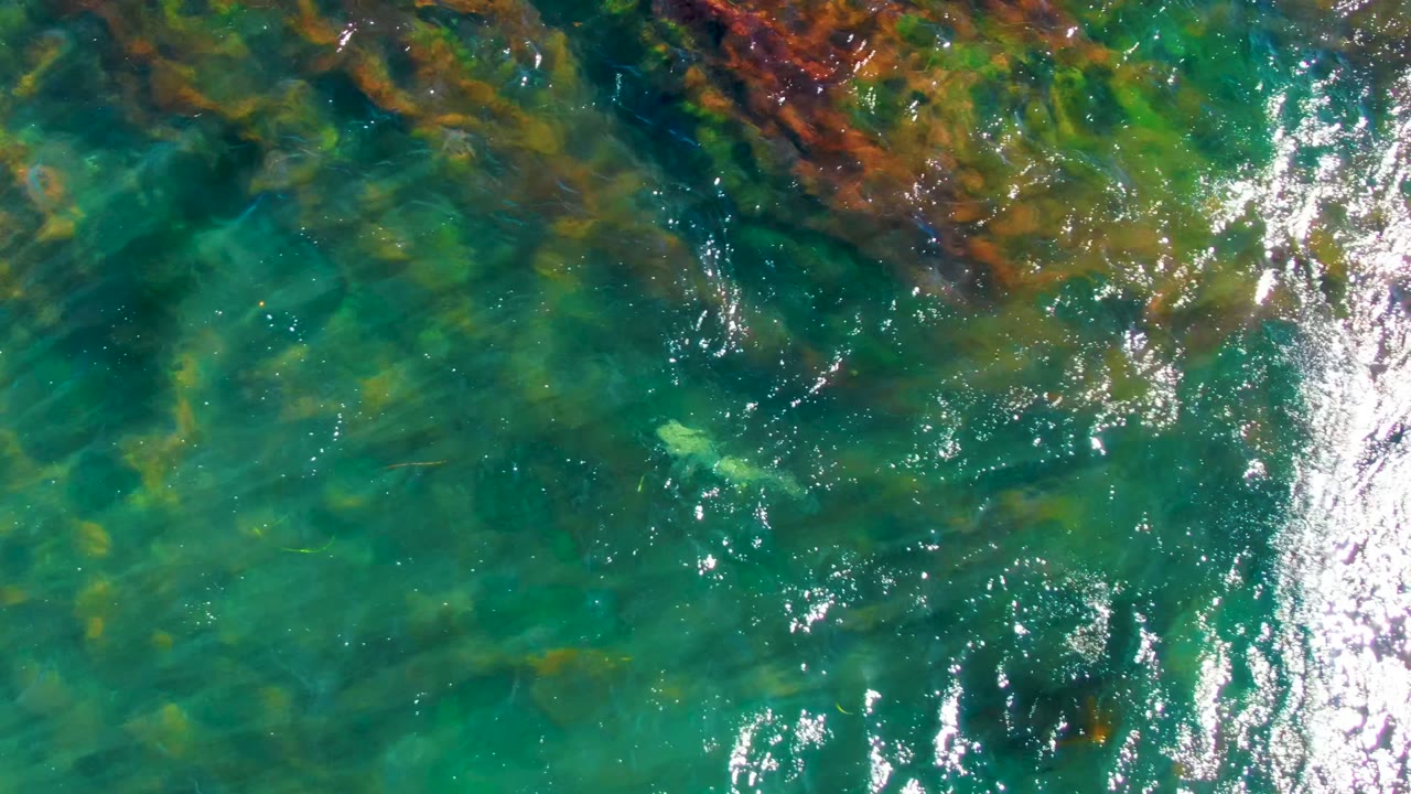 Clear green-blue water over underwater rocks and brown seaweed.