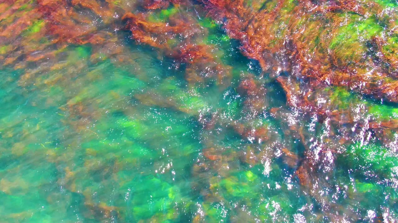 Overhead view of clear shallow water in La Bocana, Baja California Sur, with turquoise color, brown seaweed, submerged rocks, bright surface glints, and no visible people.