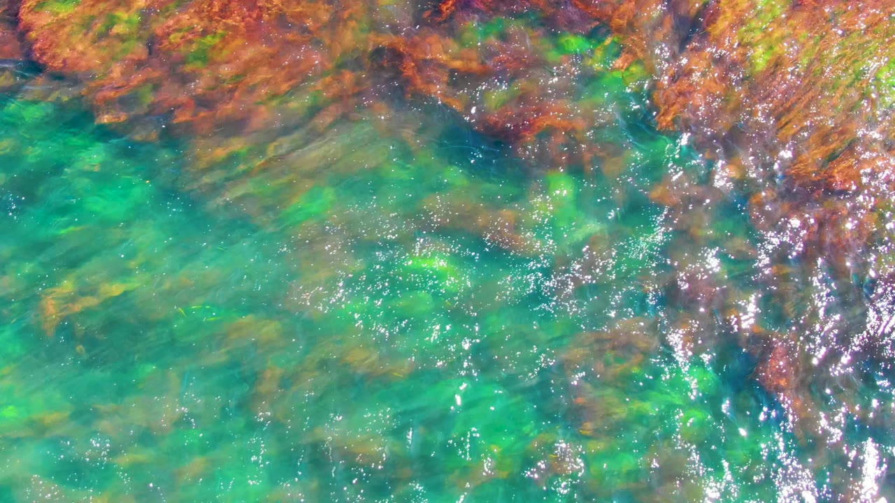 Shallow green water with seaweed bands and reflective highlights.
