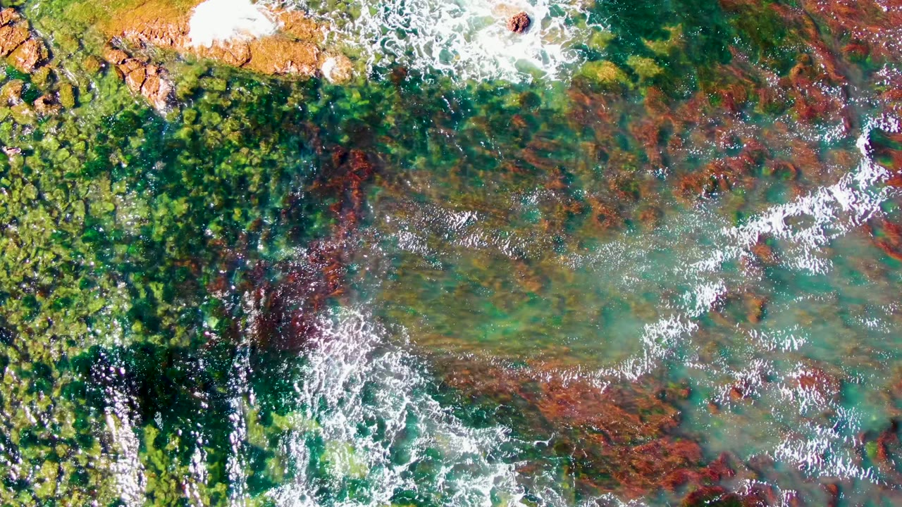 Overhead 4K frame from La Bocana, Baja California Sur, showing clear green shallows, tan rocks near the top edge, white surf foam, red marine vegetation, and no visible people.