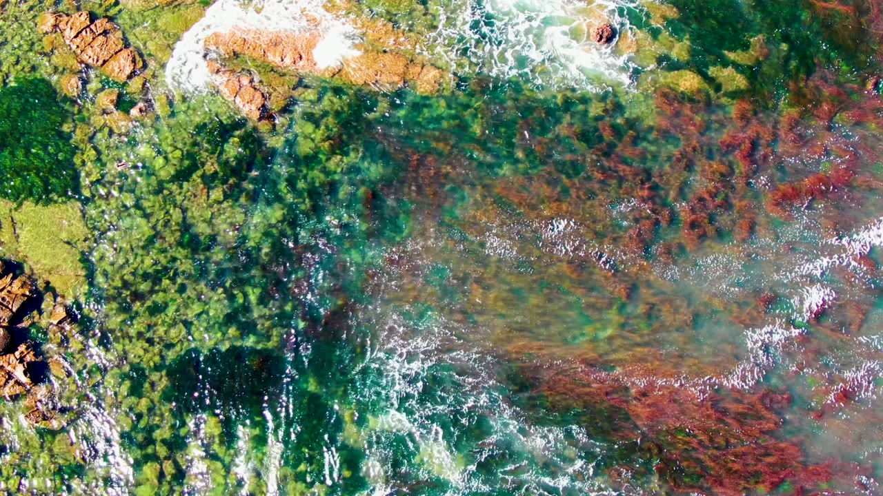 Top-down La Bocana frame with a tiny bird near the upper right, tan rock clusters, green shallow water, red marine vegetation, white foam, and no visible people.