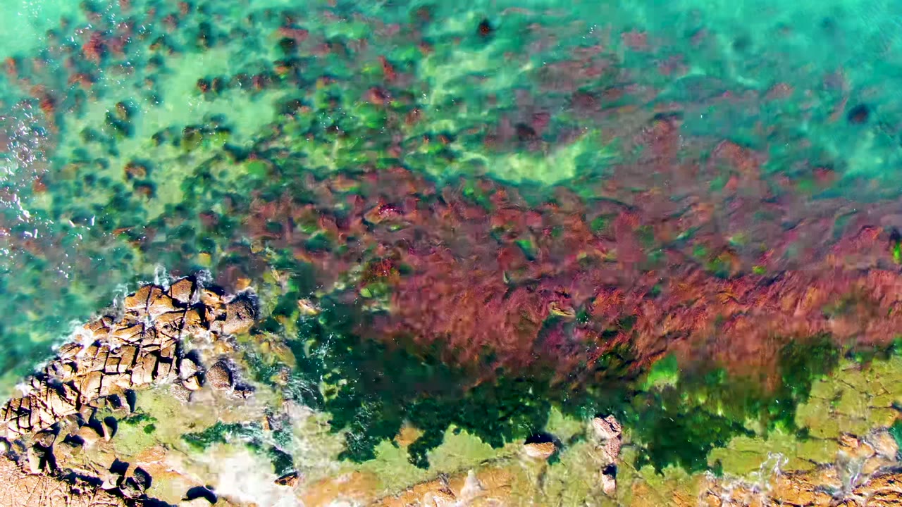 Overhead view in La Bocana, Baja California Sur, showing turquoise shallow water, tan rocks at the lower left, red seaweed, green algae, and no visible people.