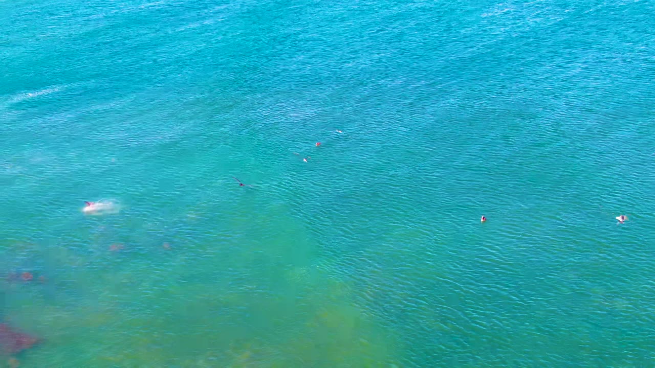 Overhead view of clear shallow water at La Bocana, Baja California Sur, with scattered swimmers near the upper half and dark seabed patches below.