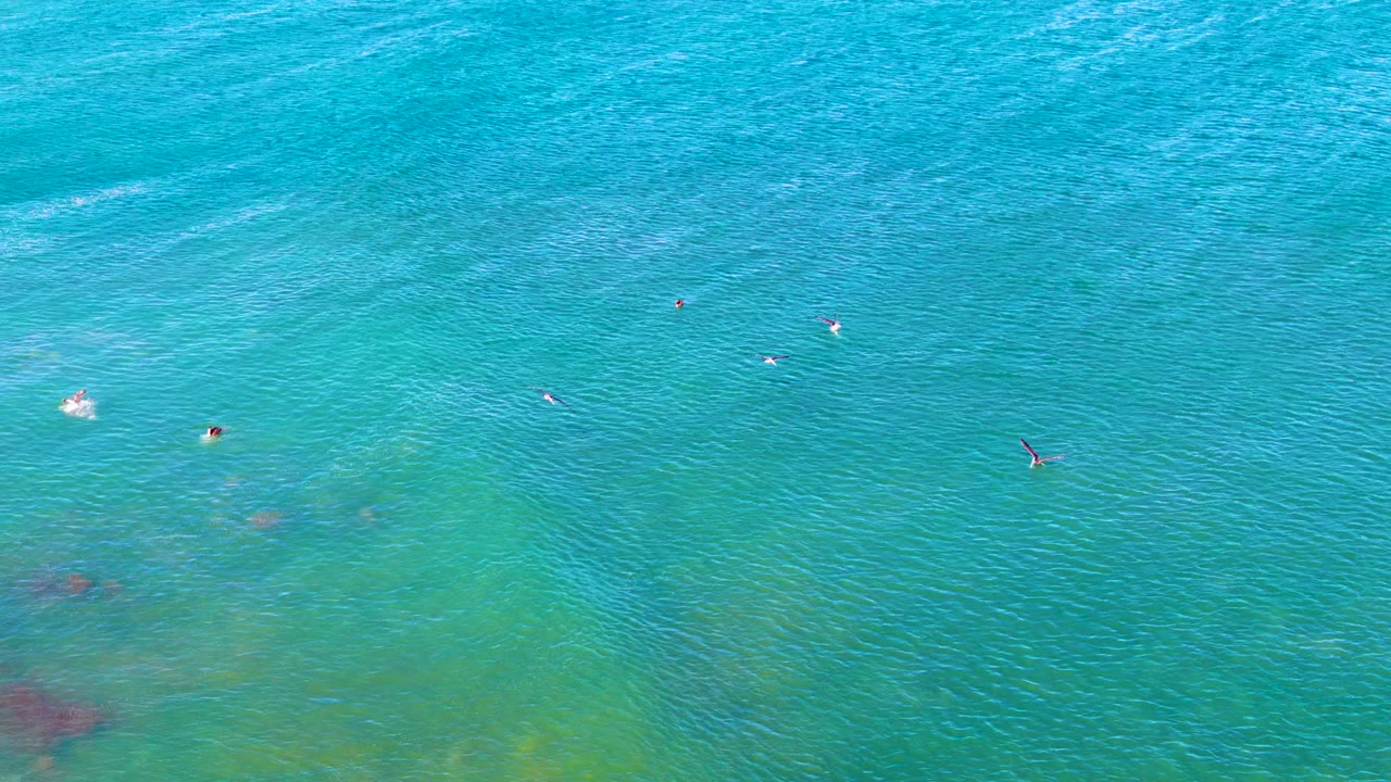 Small swimmers spread across blue-green shallow ocean water.