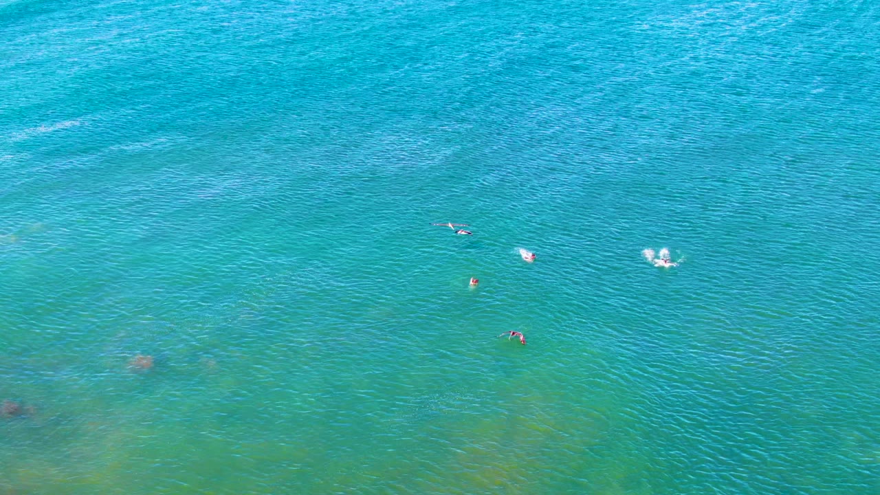 Overhead view of clear turquoise ocean at La Bocana, Baja California Sur, with scattered swimmers near pale shallow seabed patches.