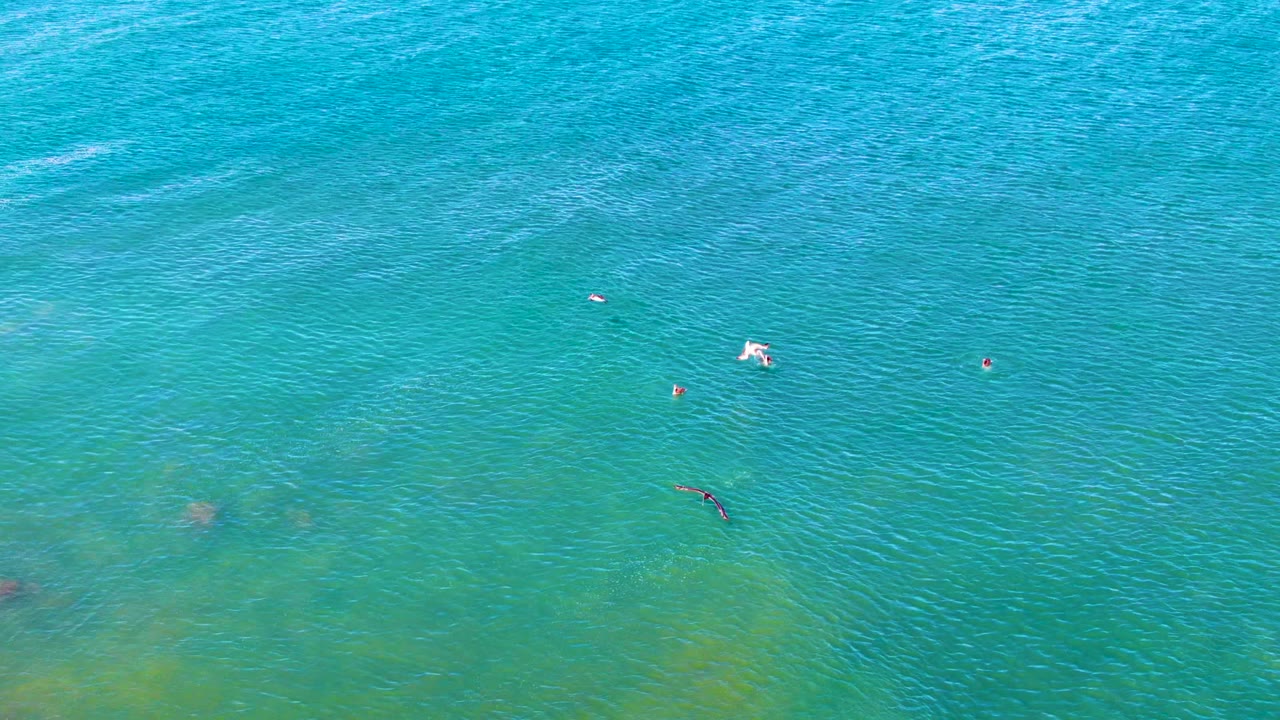 Clear blue-green ocean seen from above with tiny swimmers and darker seabed areas.