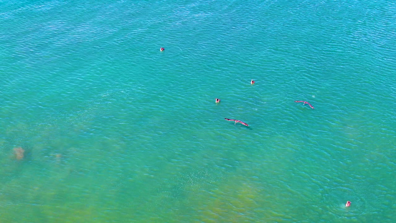 Overhead view at La Bocana, Baja California Sur, showing several small swimmers spread across turquoise ocean water with faint seabed patches below.