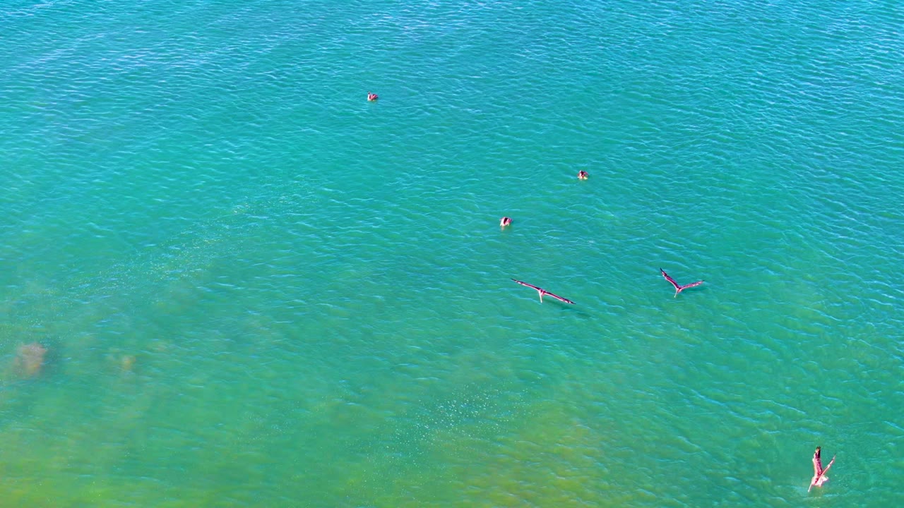 Swimmers spaced across clear blue-green ocean water