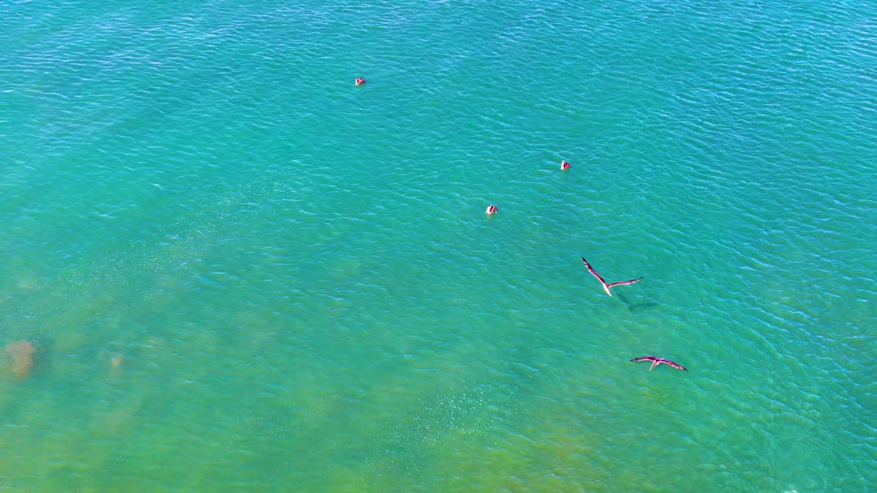 Overhead La Bocana view with small swimmers crossing clear turquoise water while muted sandy seabed patches show beneath the surface.