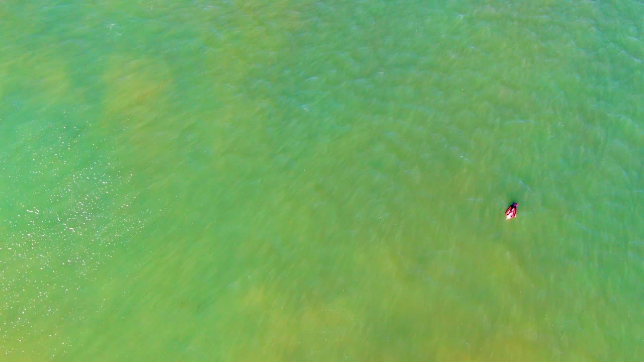Tiny swimmer crossing clear green water.