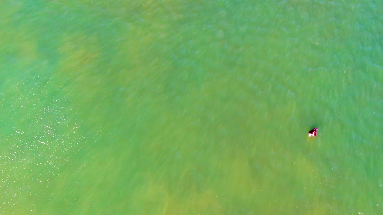 Overhead La Bocana frame with the swimmer near the upper right edge, set against broad green water with small ripples and faint yellow-green sand tones below.