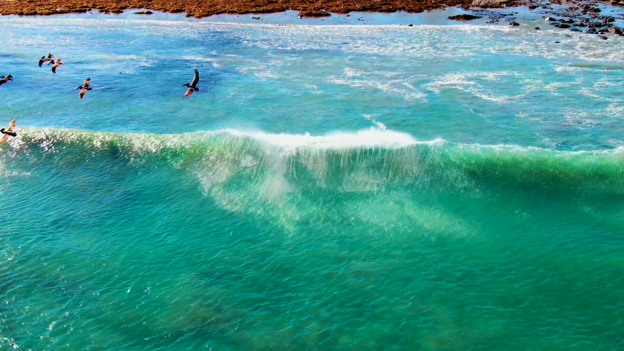 Aerial frame from La Bocana, Baja California Sur showing several small people in turquoise water as a green-blue wave begins to crest near the rocky and sandy shoreline.
