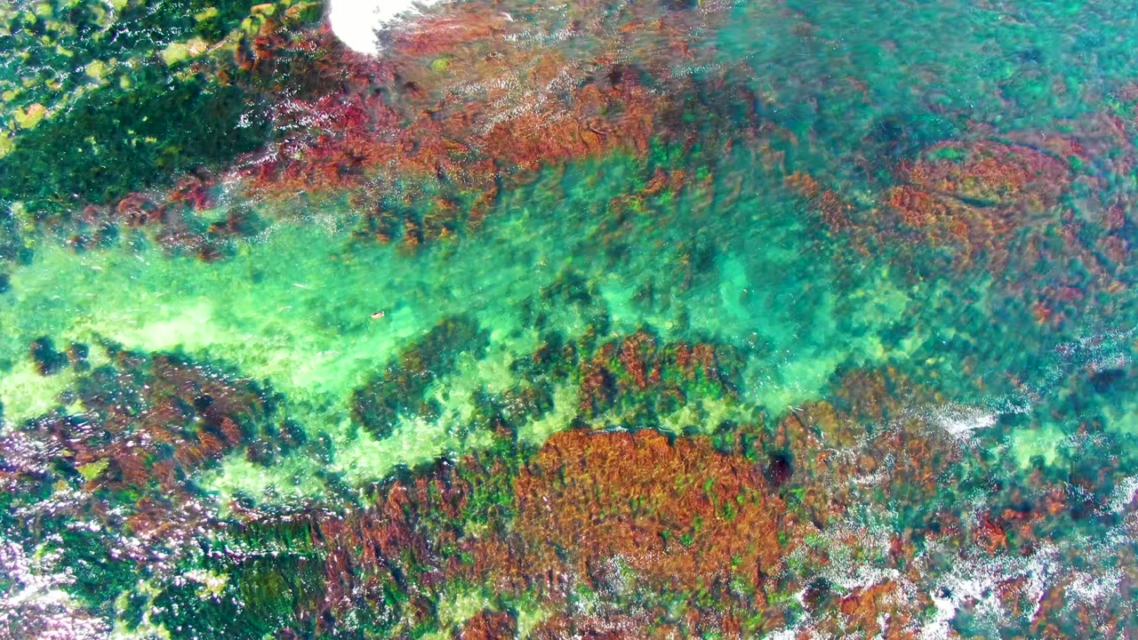 Clear green water crossing dark rocky seabed