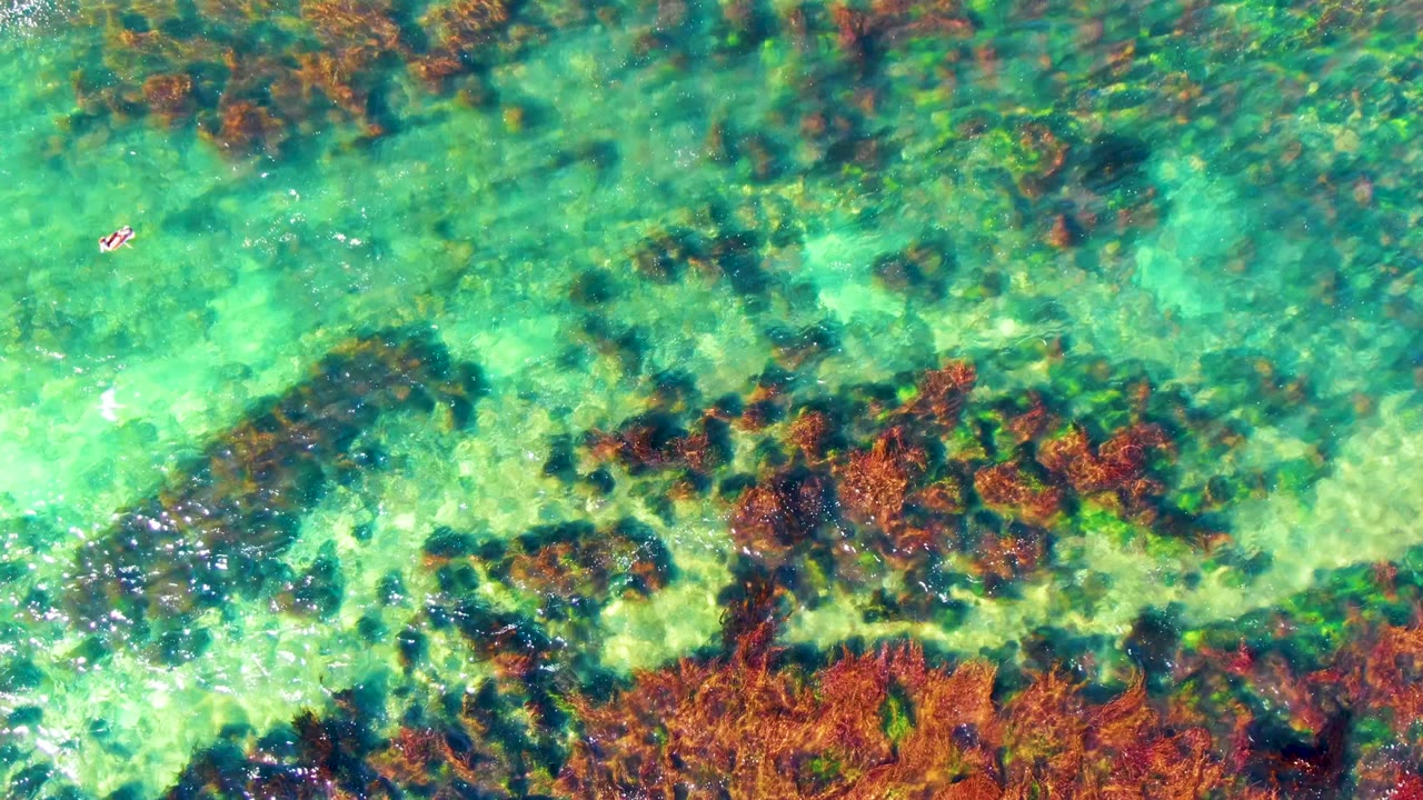 Turquoise shallow water with seaweed patches and a small swimmer near the top center.