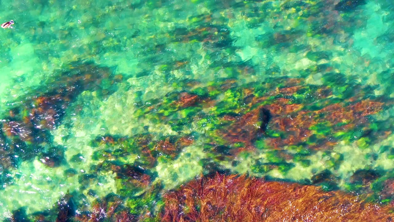 Overhead view of clear turquoise water over green and brown algae-covered rocks in La Bocana, Baja California Sur, with no visible people.