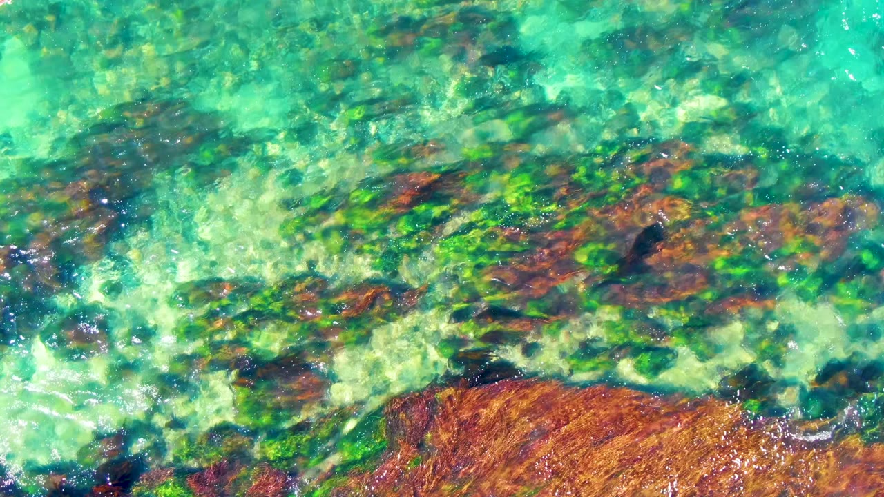 Bright green-blue ocean water reveals a mottled rocky seabed with algae in La Bocana, Baja California Sur, with no visible people.