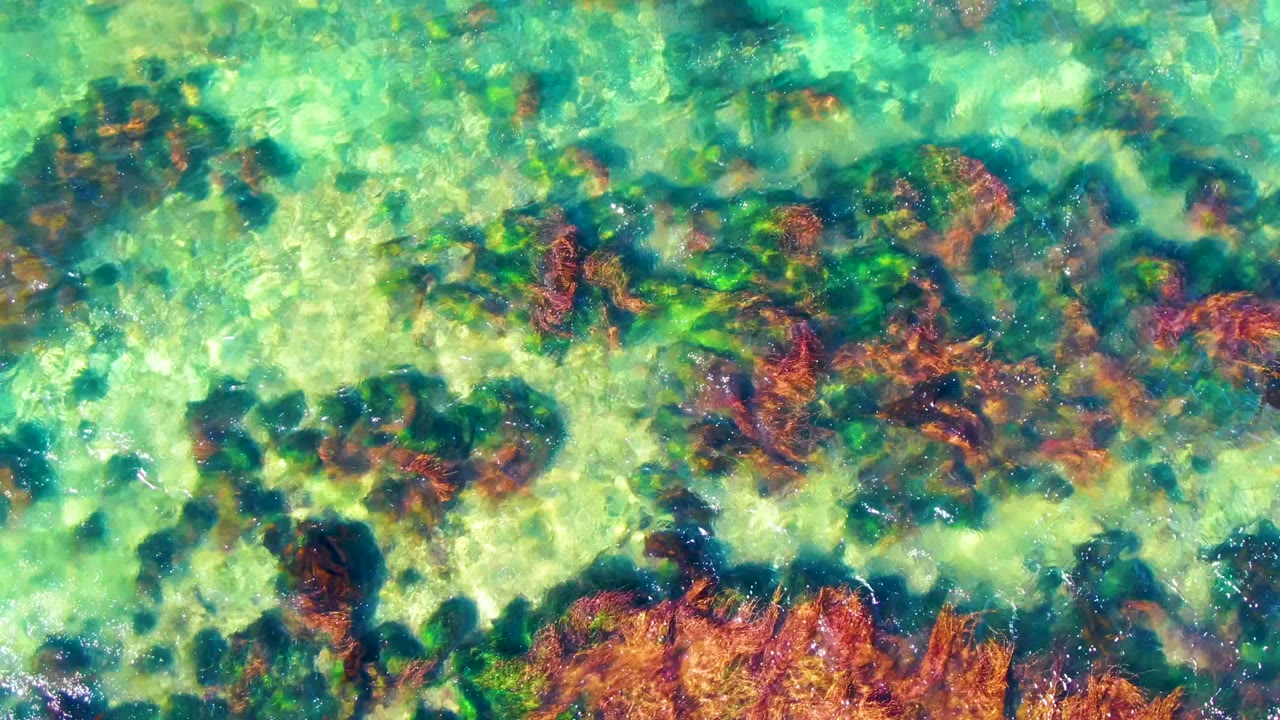Opening overhead frame of clear shallow water over red-brown rocks and green seabed tones in La Bocana, Baja California Sur, with no visible people.
