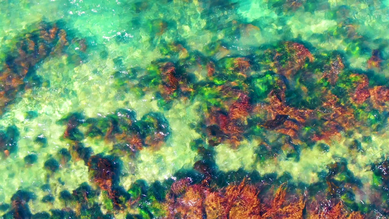 Sunlit ripples over green water and clustered red-brown seabed formations.