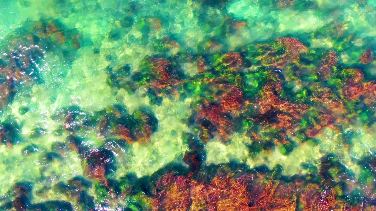 At 0:02, the overhead frame holds on green-blue shallow water with mottled dark rocks and reddish underwater growth in La Bocana, no visible people.