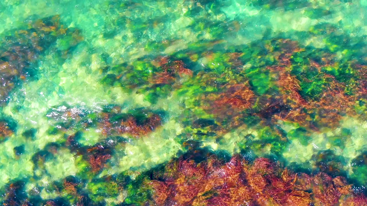 Overhead view of clear shallow water in La Bocana, Baja California Sur with red and brown seabed rocks beneath green turquoise ripples, no visible people.
