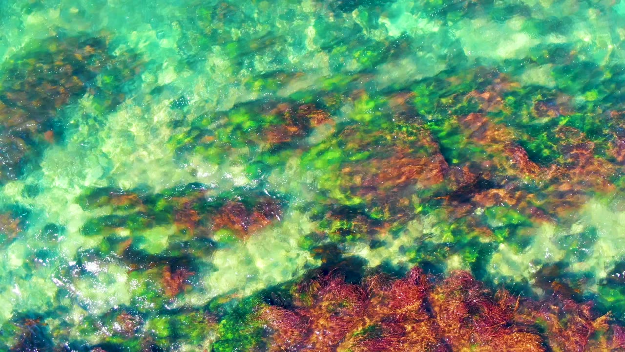 Green turquoise water with mottled rocks below
