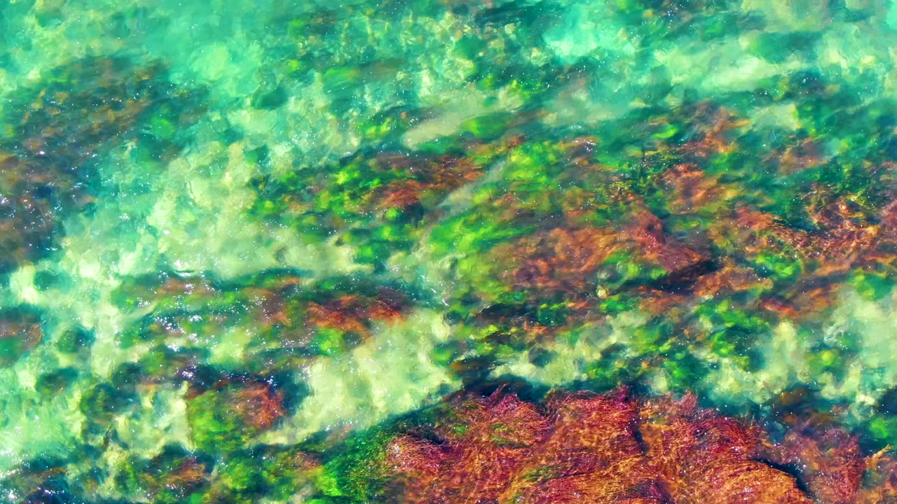 Bright turquoise shallow water in La Bocana, Baja California Sur passes over dark green and rust colored seabed patches, with no shoreline or people visible.